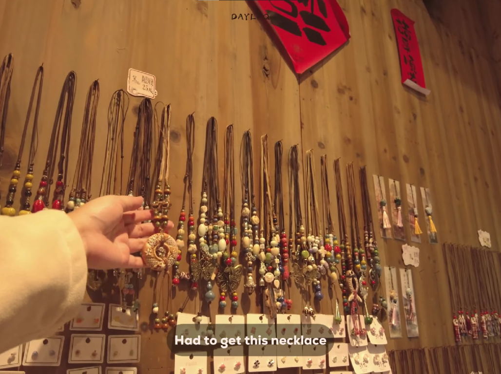 vlog screencap